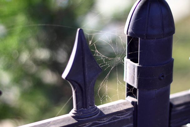 De spin witte web spinnenweb closeup achtergrond. - Foto, afbeelding