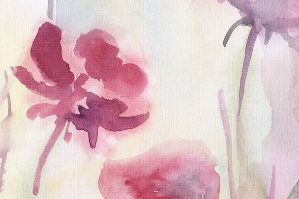 field flowers. spring Summer. background. watercolor. stems. - Photo, image