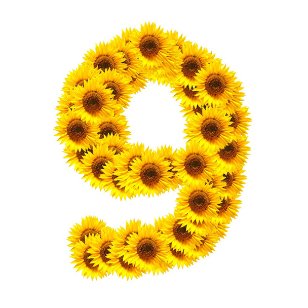 Alphabet of flowers - Фото, изображение