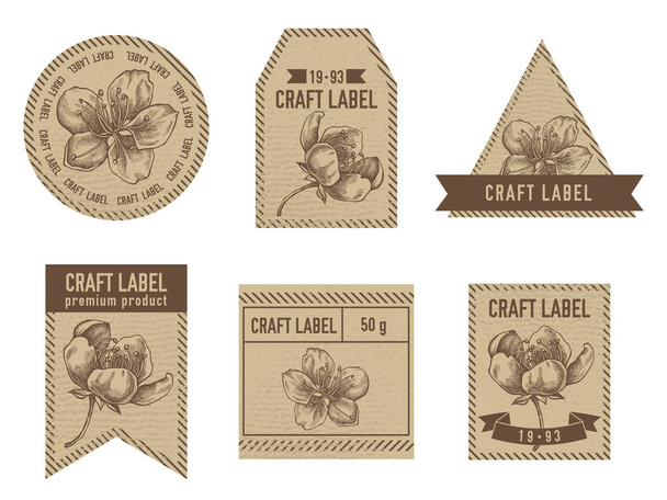 Étiquettes artisanales avec sakura
 - Vecteur, image