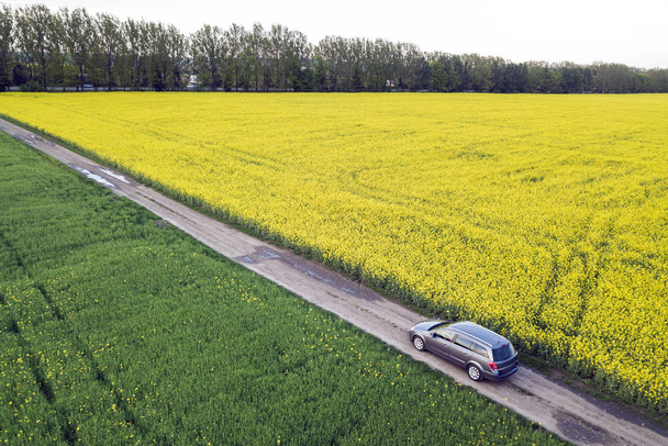 Vista aérea de la conducción de coches por carretera recta por tierra a través de verde
 - Foto, imagen