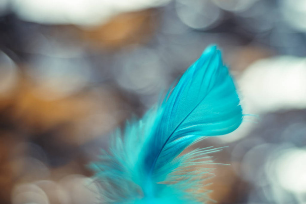 close up schöne blaue Vogelfeder Muster Hintergrund für Design-Textur. Makrofotografie.  - Foto, Bild
