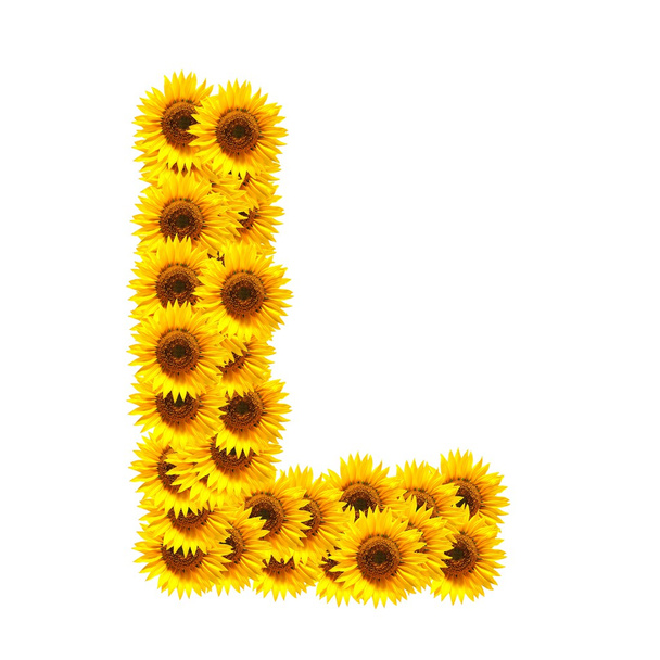 Alphabet of flowers - Fotoğraf, Görsel