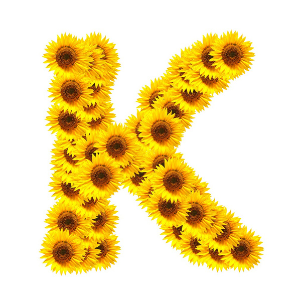 Alphabet of flowers - Фото, зображення