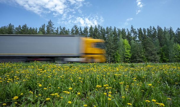 een vrachtwagen met een gele cabine stroomt langs de weg langs het bos, de weg is bedekt met gele paardebloemen. - Foto, afbeelding