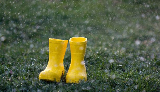 Yellow boots on the green grass in the rain. Boots on the wet grass in drops of water. - Photo, Image