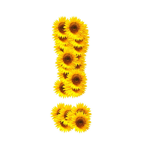 alfabet van bloemen - Foto, afbeelding
