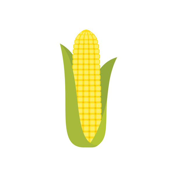 Corn cob in a green husk isolated on white background. Sweet golden corn. Ear of corn with leaves. Freshly picked corn. Single ripe maize. Cartoon corn symbol. Vector illustration,flat style, clip art - Vector, Image