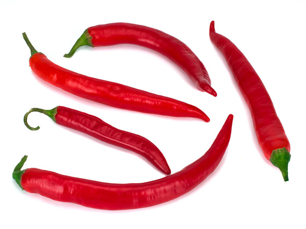 piros chili paprika elszigetelt a fehér - Fotó, kép
