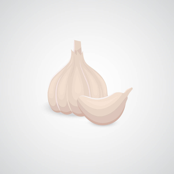 Garlic vector icon on neutral background. - Vector, Imagen