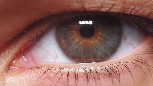 grijsbruin oog van een jong meisje close-up macro. selectieve focus, extreme macro - Video