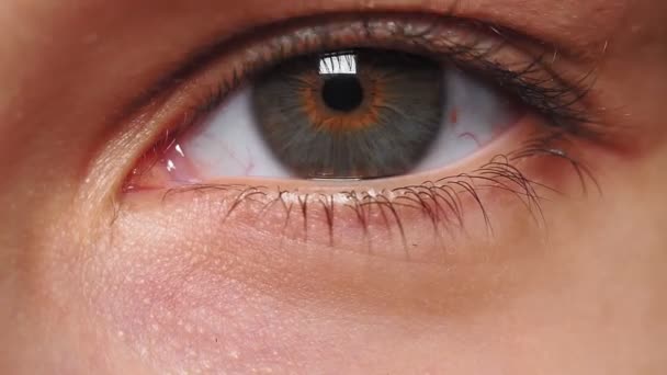 Beautiful young womans eye close-up shot. Female model with well-kept skin. beauty and cosmetics concept. - Footage, Video