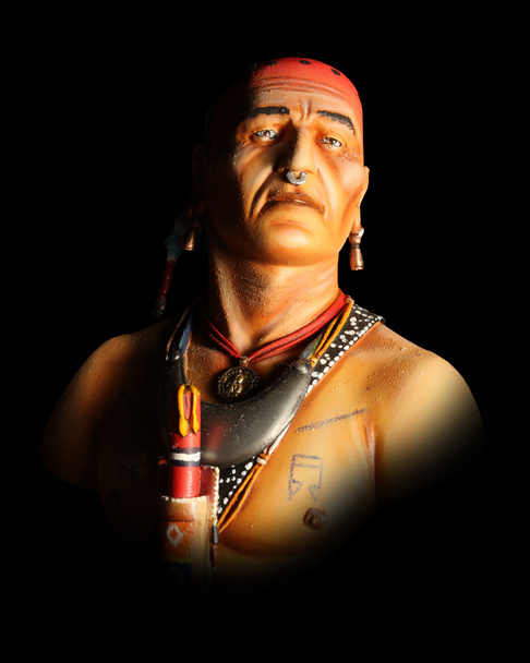 Native Indian portrait - Photo, Image