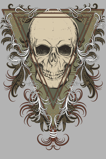 Color skull with feathers on color background. Vector illustration - Вектор, зображення