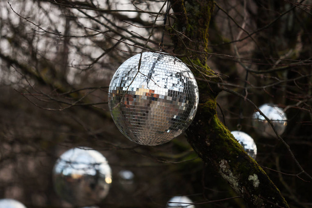 Discoball hanging on naked tree as a Christmass decoration. - Photo, Image