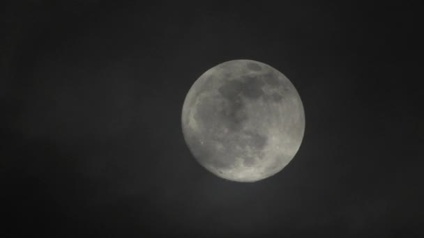 Full moon on dark cloudy night. Clouds passing by the moon, real time shot. - Footage, Video