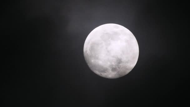 暗い曇りの夜に満月。雲が月を通り過ぎてリアルタイムで撃たれた. - 映像、動画