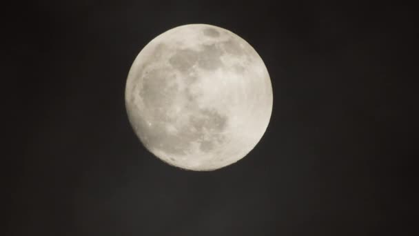 Pleine lune par nuit nuageuse. Nuages passant par la lune, prise de vue en temps réel
. - Séquence, vidéo