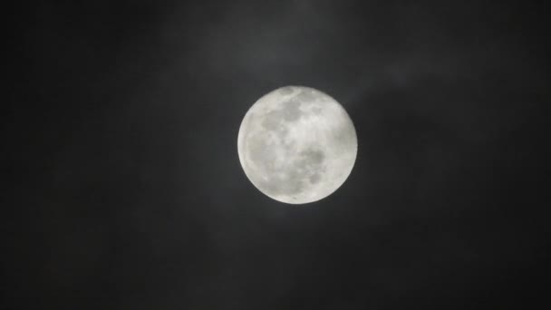 暗い曇りの夜に満月。月を通り過ぎる雲、リアルタイムのショット。夜に月を通り過ぎる雲。リアルタイムで雲と夜の満月. - 映像、動画