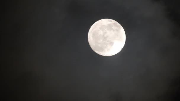 Luna piena nella notte buia e nuvolosa. Nuvole che passano davanti alla luna, riprese in tempo reale.Nuvole che passano davanti alla luna di notte. Luna piena di notte con nuvole in tempo reale
. - Filmati, video