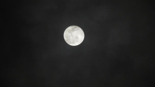 Luna piena nella notte buia e nuvolosa. Nuvole che passano davanti alla luna, riprese in tempo reale.Nuvole che passano davanti alla luna di notte. Luna piena di notte con nuvole in tempo reale
. - Filmati, video