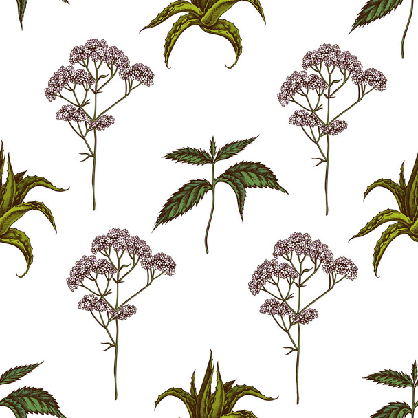 Seamless pattern with hand drawn colored aloe, nettle, valerian - Vector, imagen