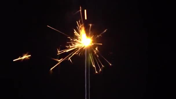 vuurwerk Sparkler close-up op een zwarte achtergrond. slow motion - Video