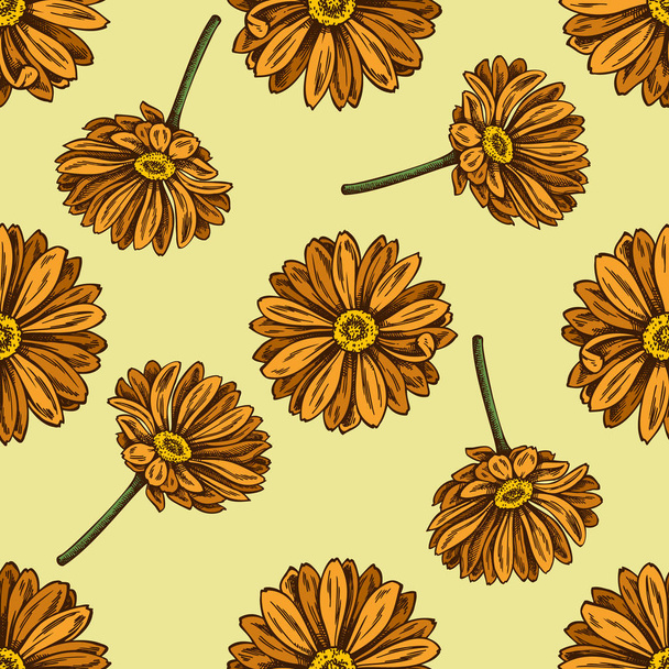 Seamless pattern with hand drawn colored calendula - Vektor, kép