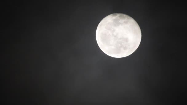 Volle maan op donkere bewolkte nacht. Wolken passeren de maan, real time gefotografeerd. Wolken passeren 's nachts de maan. Volle maan 's nachts met bewolking in real time. - Video