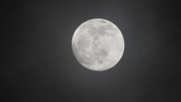 Full moon on dark cloudy night. Clouds passing by the moon, real time shot.Clouds passing by moon at night. Full moon at night with clouds in real time. - Footage, Video