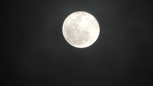 Luna llena en la noche nublada oscura. Nubes que pasan por la luna, tiro en tiempo real.Nubes que pasan por la luna por la noche. Luna llena por la noche con nubes en tiempo real
. - Imágenes, Vídeo