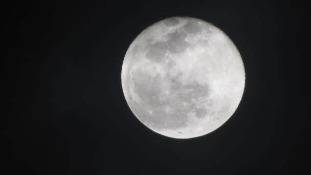 Volle maan op donkere bewolkte nacht. Wolken passeren de maan, real time gefotografeerd. Wolken passeren 's nachts de maan. Volle maan 's nachts met bewolking in real time. - Video