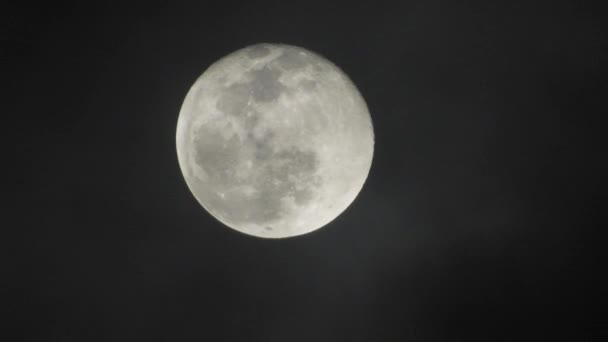 Повний місяць у темну ніч. Хмари, що проходять повз Місяць, в режимі реального часу shot.Cloud, що проходять повз Місяць вночі. Повний місяць вночі з хмарами в режимі реального часу
. - Кадри, відео