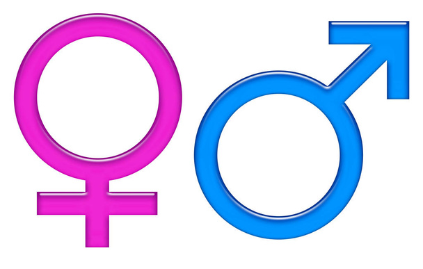 pictogram mannelijke en vrouwelijke gendersymbolen - Foto, afbeelding