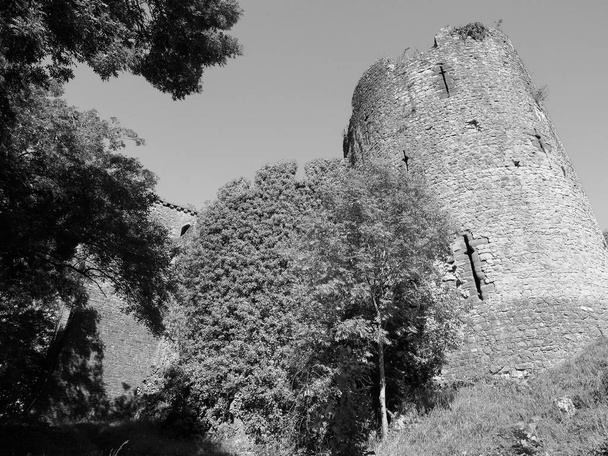 Ruiny zamku Chepstow w Chepstow, czarno-białe - Zdjęcie, obraz