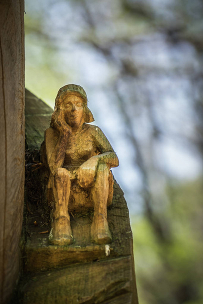 escultura de madera vista de cerca
 - Foto, imagen