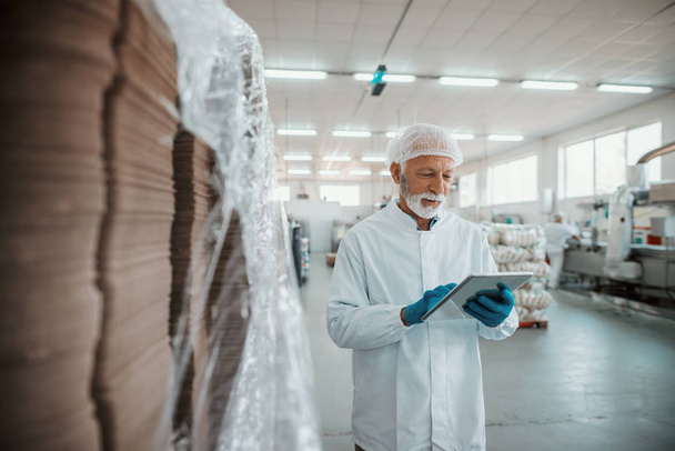 Inspecteur principal adulte caucasien sérieux vêtu d'un uniforme blanc utilisant un comprimé pour évaluer la qualité des aliments dans une usine alimentaire
. - Photo, image