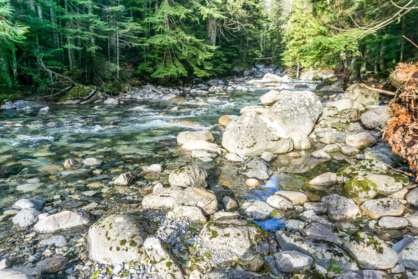Ruisseau Clear Rocky 6
 - Photo, image