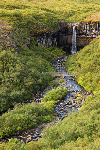 Svartifoss waterfall in Skaftafell Natural Park, Iceland, Europe - Photo, Image