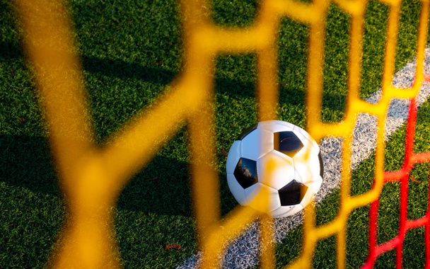 Shot from behind the colorful goal nets. A football ball lying on the goal line. - Photo, Image