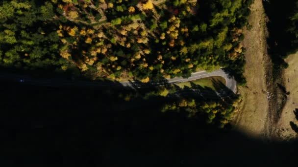 The first rays of the sun. Road in the autumn forest. - Video, Çekim