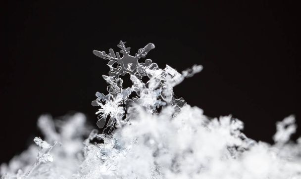макросхема сніжинок на темному фоні
 - Фото, зображення