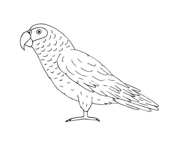 bird icon in simple style isolated on white background. birds symbol vector illustration. - Vektori, kuva