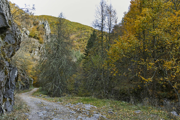 Struilitsa eco path at Devin river gorge, Rhodope Mountains - Fotoğraf, Görsel
