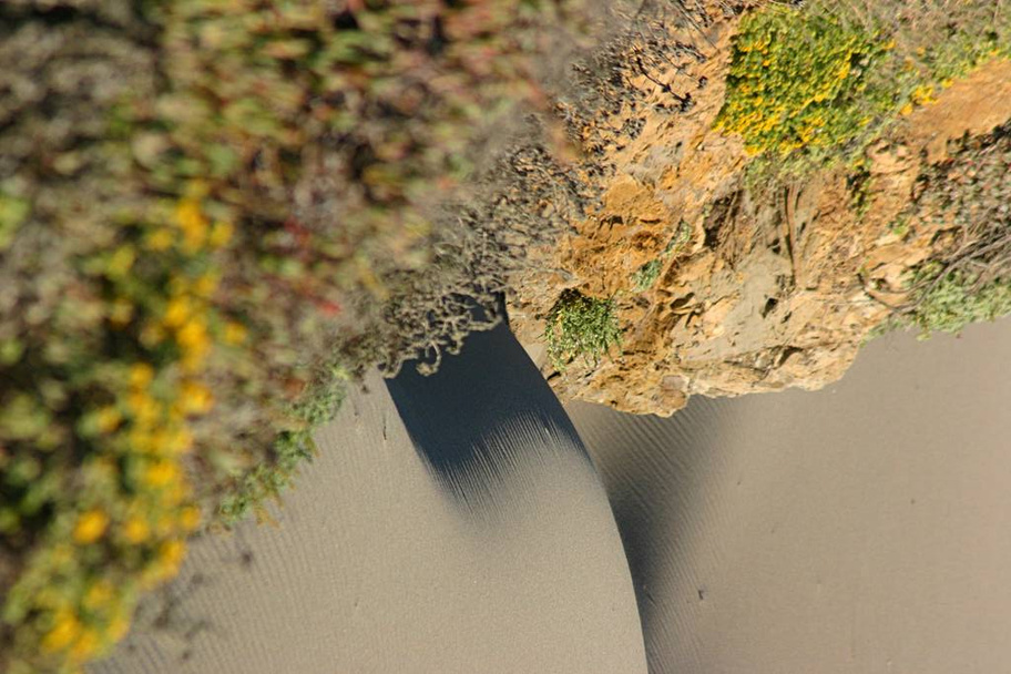 scenic view of dunes, selective focus - Photo, Image