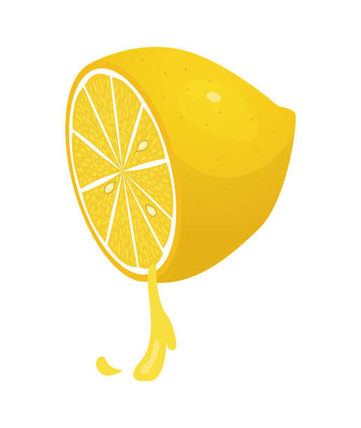 Beyaz arka planda limon dilimi vektör çizimi. Taze ekşi limon ikonu. Logo tasarımı - Vektör, Görsel