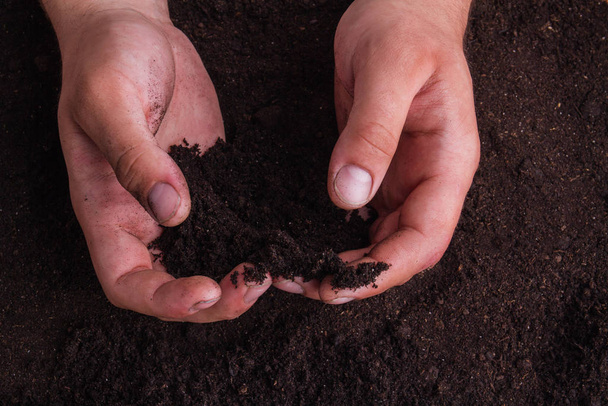 Male hands with soil, close-up. - Foto, Bild