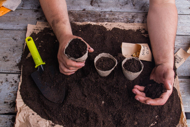 Gardeners hands potting with paper fibre pots, close-up. - Фото, изображение
