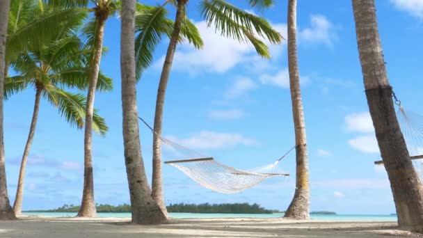 rope hammock on empty tropical beach swings in the palm trees - Footage, Video