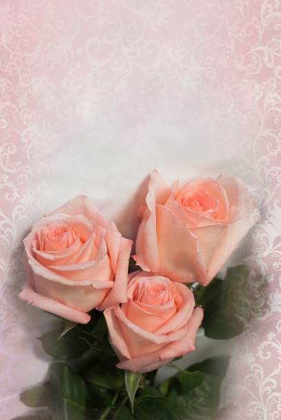 pink roses on vintage background - 写真・画像